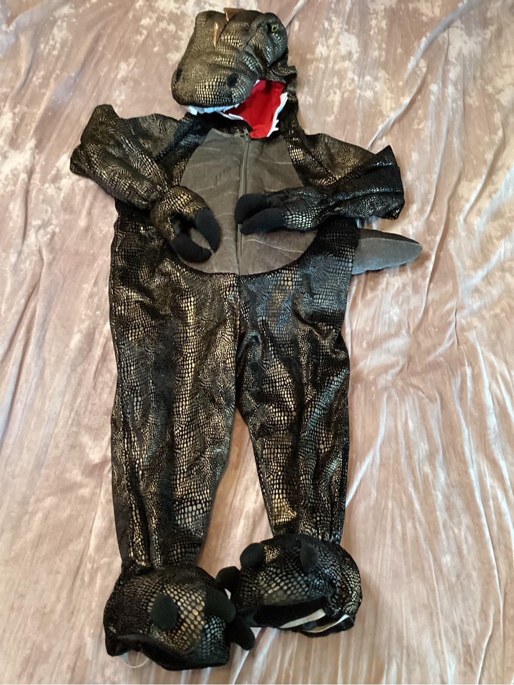 Kids Dinosaur T-Rex Hooded Costume with Claw Feet 3T